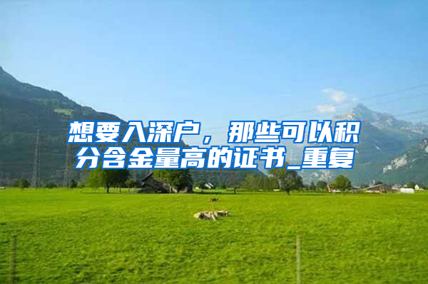 想要入深户，那些可以积分含金量高的证书_重复