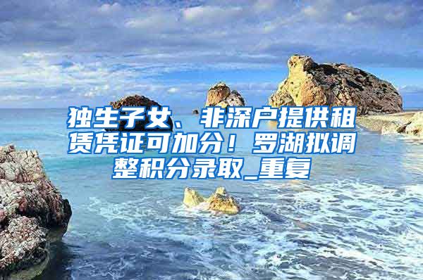 独生子女、非深户提供租赁凭证可加分！罗湖拟调整积分录取_重复