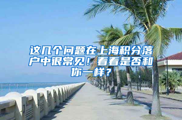 这几个问题在上海积分落户中很常见！看看是否和你一样？