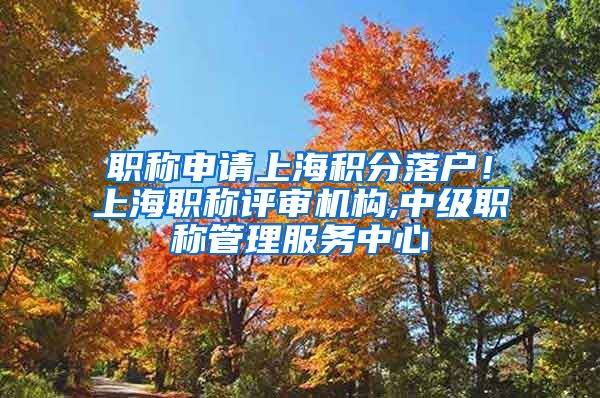 职称申请上海积分落户！上海职称评审机构,中级职称管理服务中心