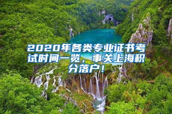 2020年各类专业证书考试时间一览，事关上海积分落户！