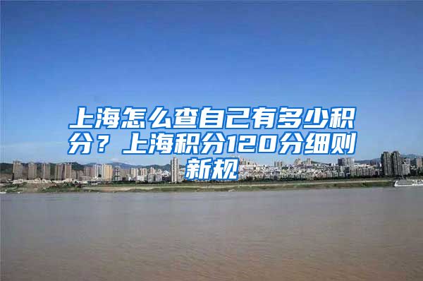 上海怎么查自己有多少积分？上海积分120分细则新规