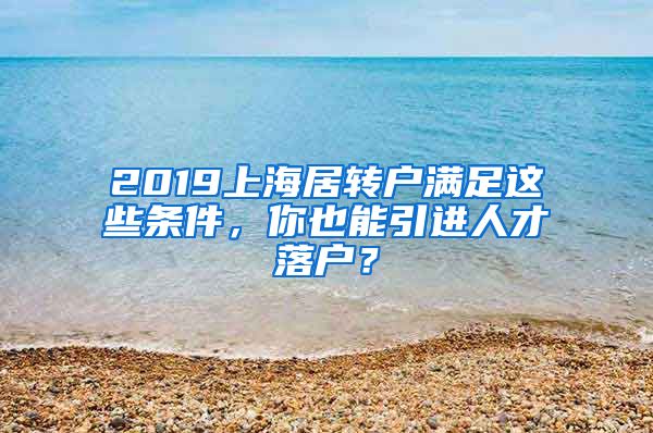 2019上海居转户满足这些条件，你也能引进人才落户？