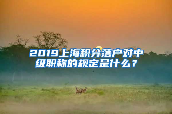 2019上海积分落户对中级职称的规定是什么？
