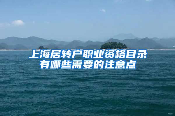 上海居转户职业资格目录有哪些需要的注意点
