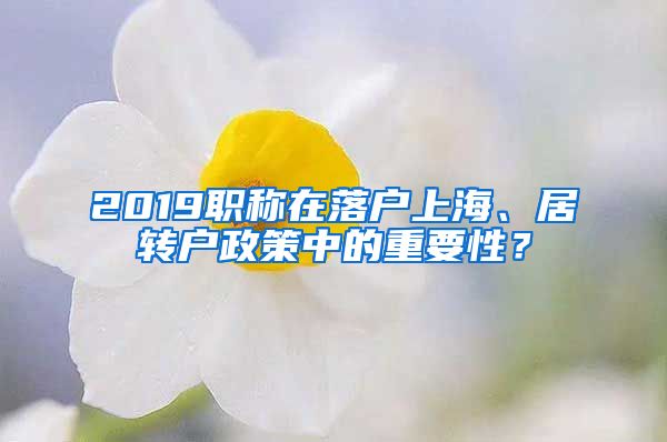2019职称在落户上海、居转户政策中的重要性？