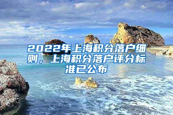 2022年上海积分落户细则，上海积分落户评分标准已公布