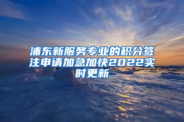 浦东新服务专业的积分签注申请加急加快2022实时更新