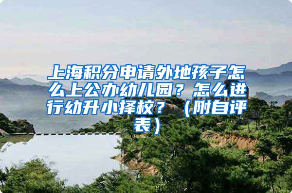 上海积分申请外地孩子怎么上公办幼儿园？怎么进行幼升小择校？（附自评表）