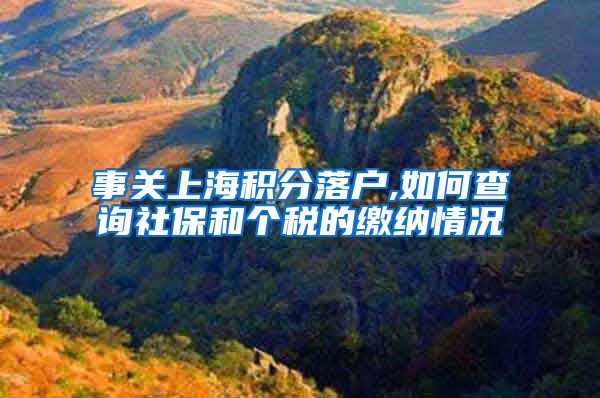 事关上海积分落户,如何查询社保和个税的缴纳情况