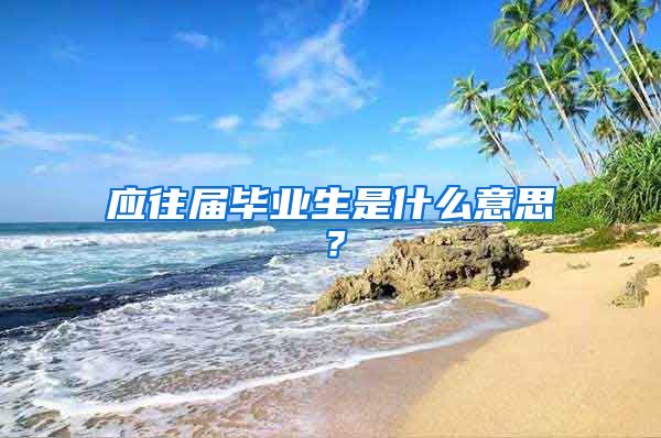 应往届毕业生是什么意思？