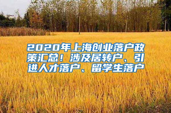2020年上海创业落户政策汇总！涉及居转户、引进人才落户、留学生落户