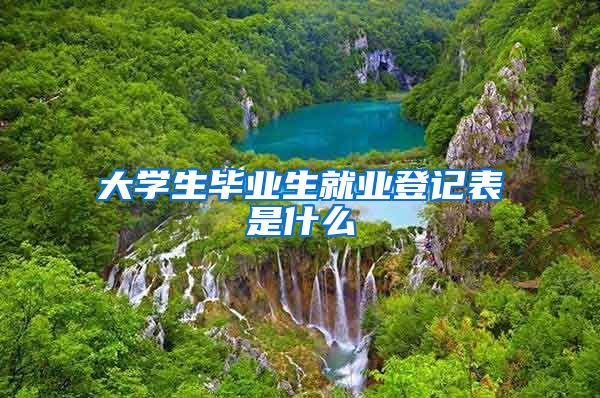 大学生毕业生就业登记表是什么
