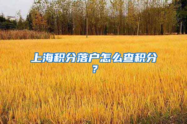 上海积分落户怎么查积分？