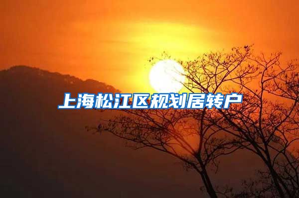 上海松江区规划居转户