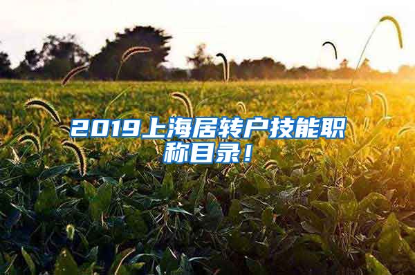 2019上海居转户技能职称目录！