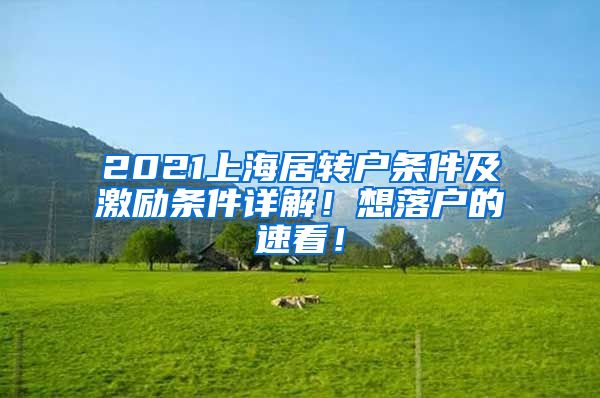 2021上海居转户条件及激励条件详解！想落户的速看！