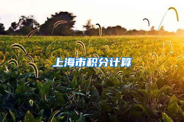 上海市积分计算