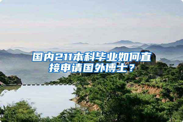 国内211本科毕业如何直接申请国外博士？