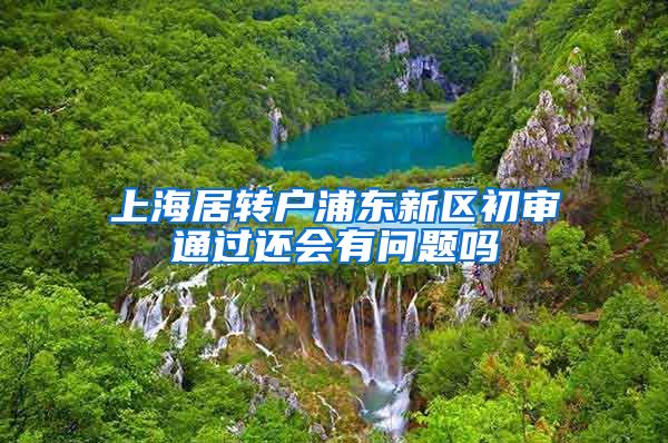 上海居转户浦东新区初审通过还会有问题吗