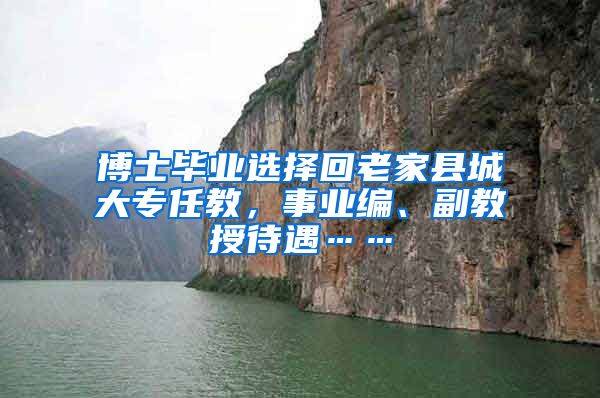 博士毕业选择回老家县城大专任教，事业编、副教授待遇……