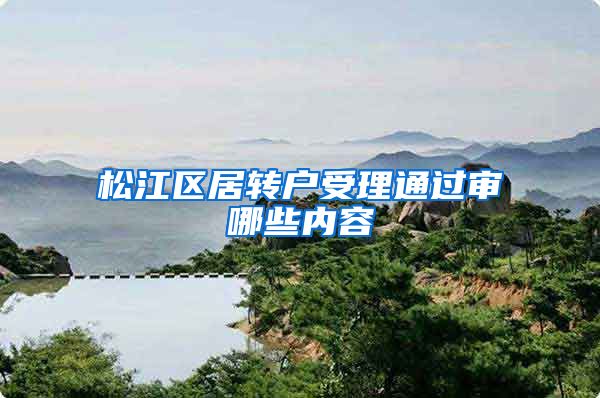 松江区居转户受理通过审哪些内容