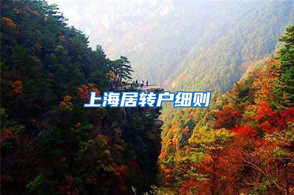 上海居转户细则