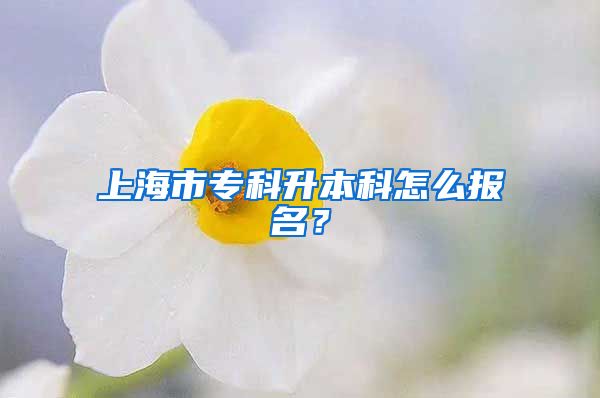 上海市专科升本科怎么报名？