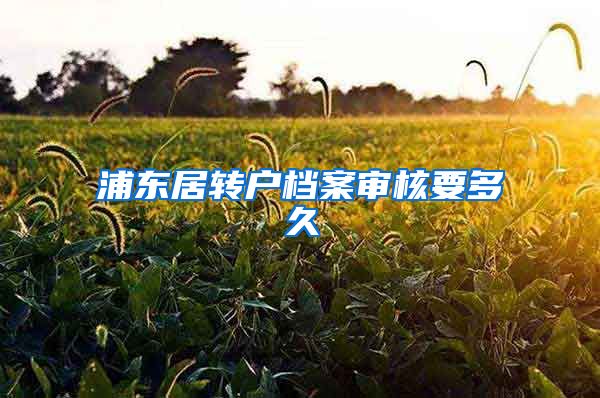 浦东居转户档案审核要多久
