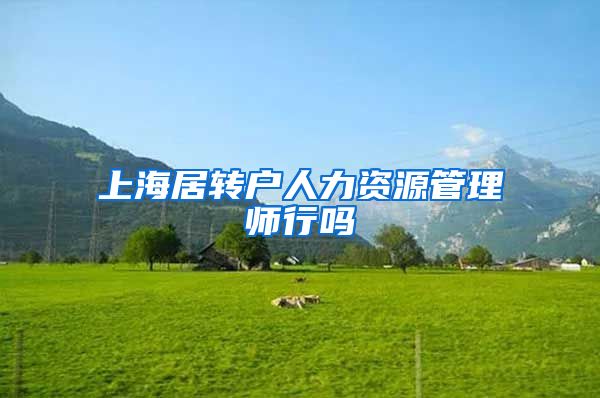 上海居转户人力资源管理师行吗