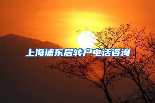 上海浦东居转户电话咨询