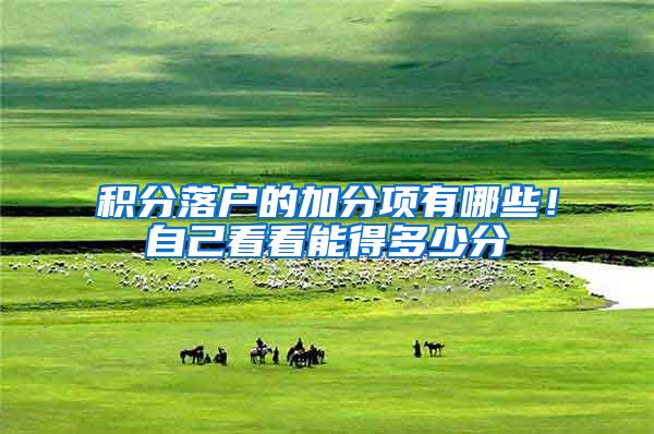 积分落户的加分项有哪些！自己看看能得多少分
