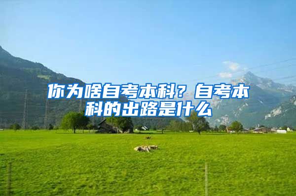 你为啥自考本科？自考本科的出路是什么