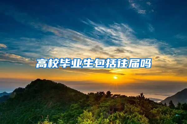 高校毕业生包括往届吗