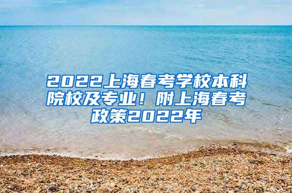 2022上海春考学校本科院校及专业！附上海春考政策2022年