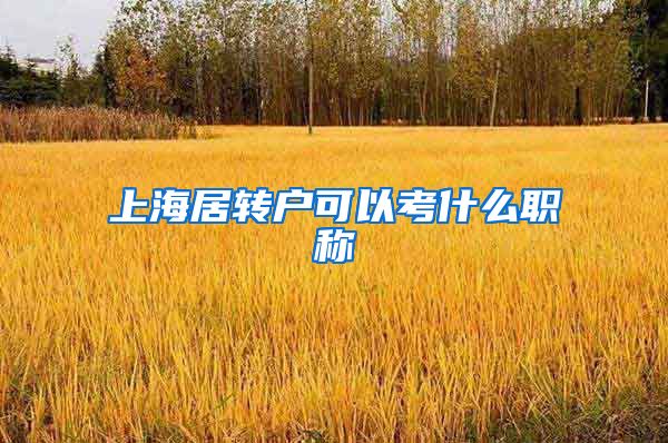 上海居转户可以考什么职称