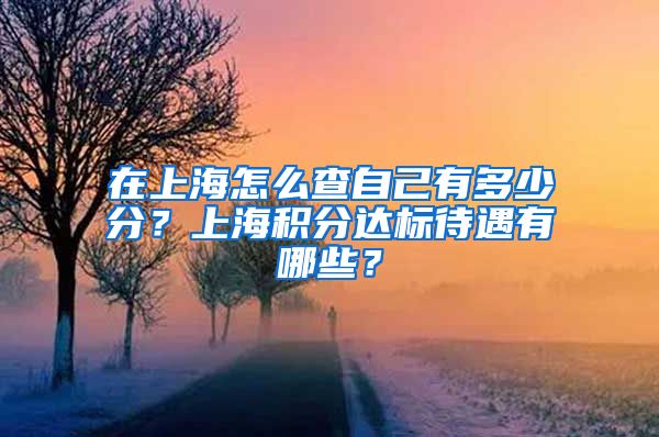 在上海怎么查自己有多少分？上海积分达标待遇有哪些？
