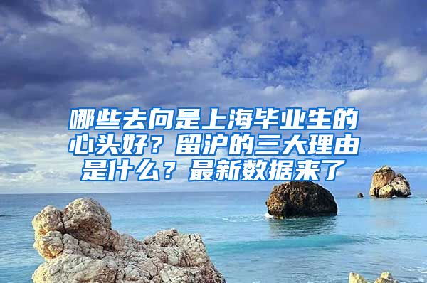 哪些去向是上海毕业生的心头好？留沪的三大理由是什么？最新数据来了→