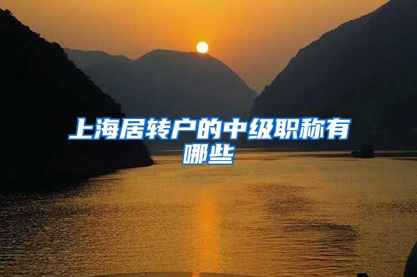 上海居转户的中级职称有哪些
