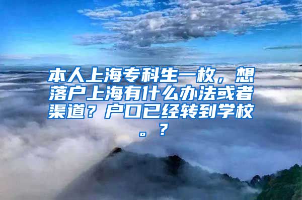 本人上海专科生一枚，想落户上海有什么办法或者渠道？户口已经转到学校。？