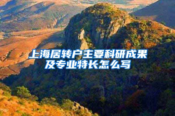 上海居转户主要科研成果及专业特长怎么写