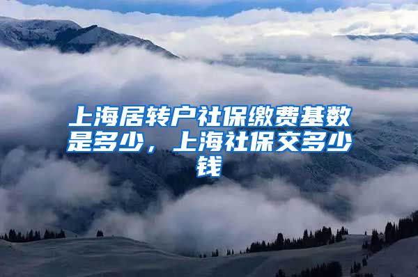上海居转户社保缴费基数是多少，上海社保交多少钱