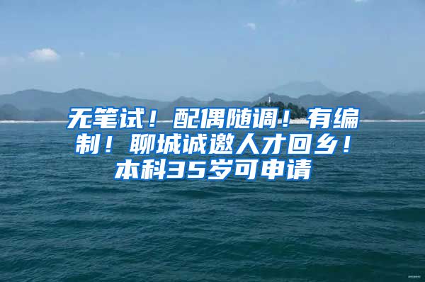 无笔试！配偶随调！有编制！聊城诚邀人才回乡！本科35岁可申请