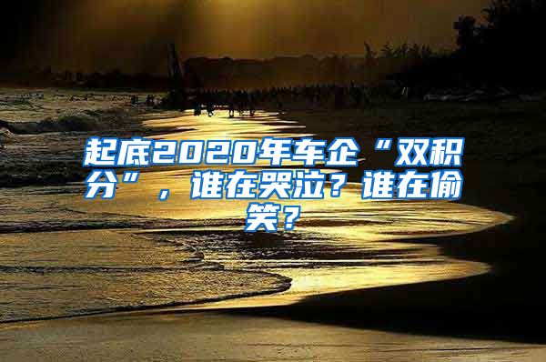 起底2020年车企“双积分”，谁在哭泣？谁在偷笑？