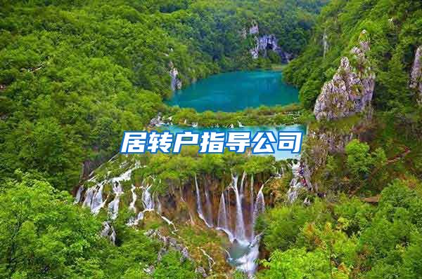 居转户指导公司