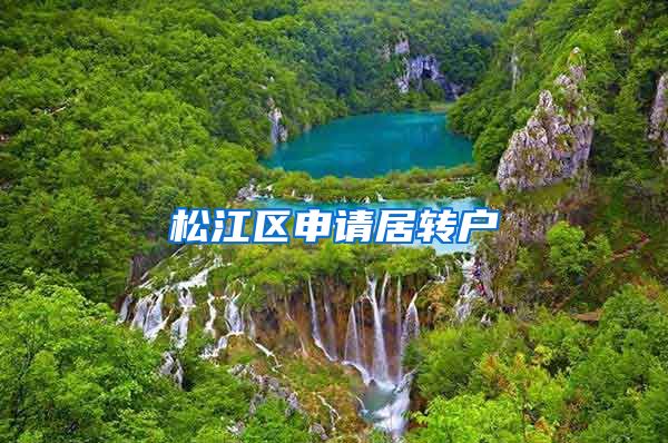 松江区申请居转户
