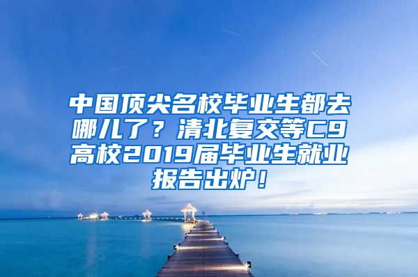 中国顶尖名校毕业生都去哪儿了？清北复交等C9高校2019届毕业生就业报告出炉！