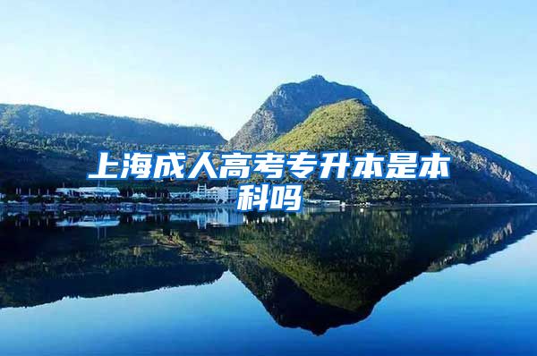 上海成人高考专升本是本科吗