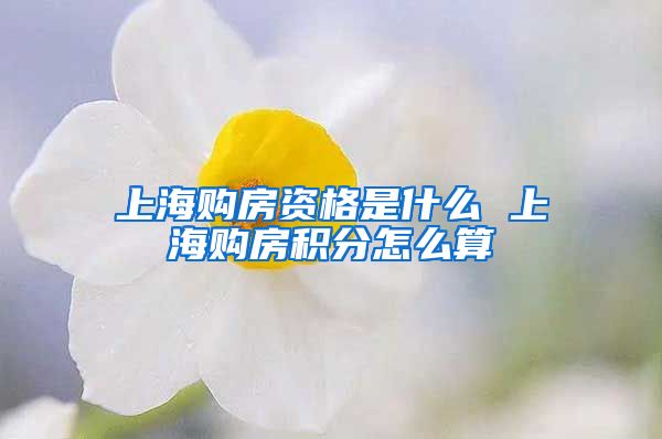 上海购房资格是什么 上海购房积分怎么算