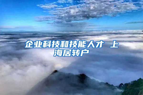 企业科技和技能人才 上海居转户